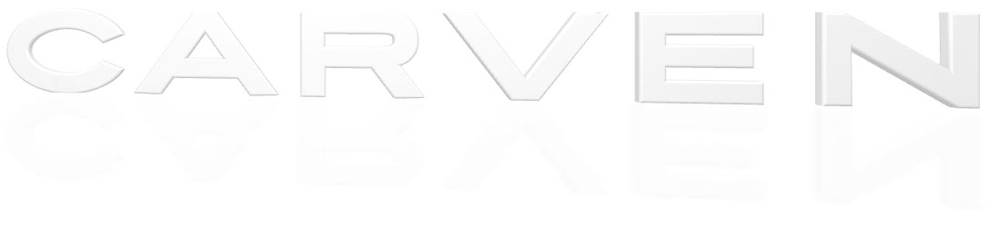 logo ami